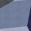 11-AMELIA RECT (Visualization) COLOR 11